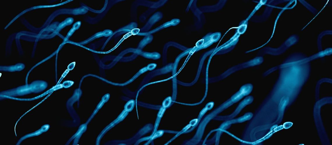 Comment augmenter sa production de spermatozoïdes ?
