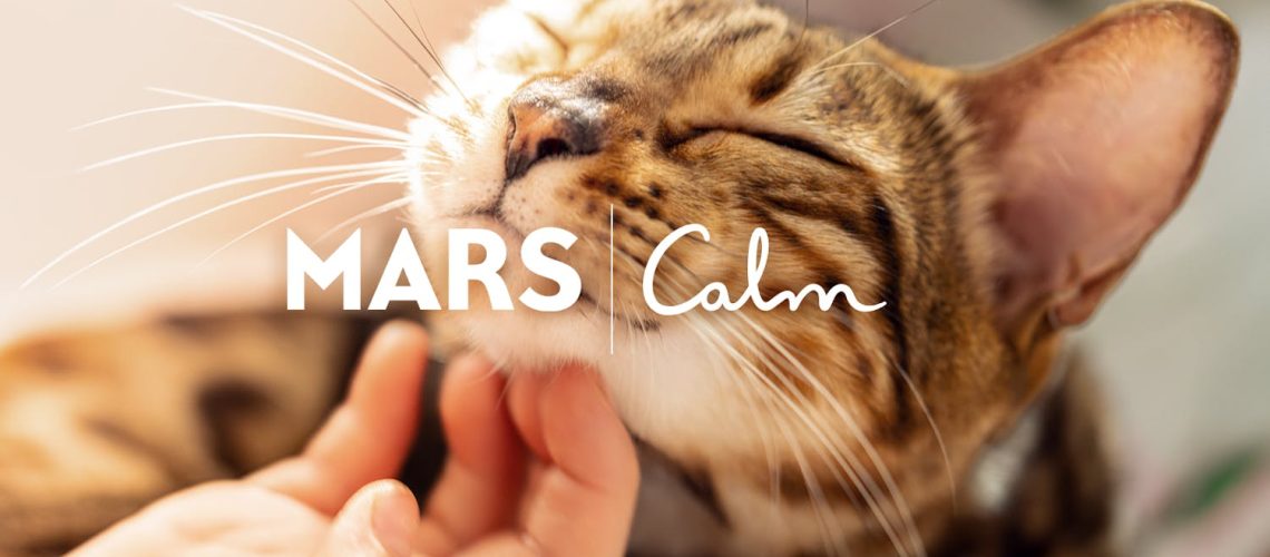 Mars et Calm révèlent le pouvoir du lien Homme-Animal